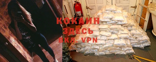 стаф Абинск