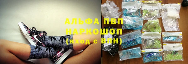 стаф Абинск